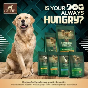 blastecuk FO3DA93A1D43 3xADS 3 copy